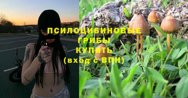 гидропоника Лагань