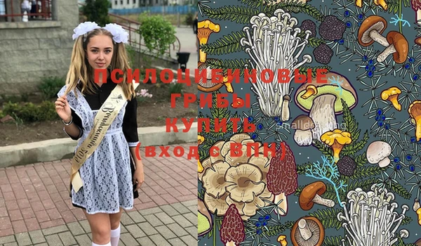 гидропоника Лагань