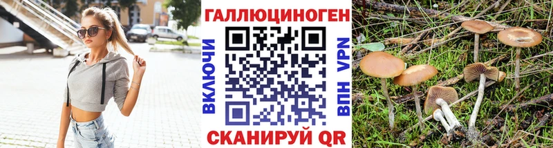 Галлюциногенные грибы GOLDEN TEACHER  Купить где  Ефремов 
